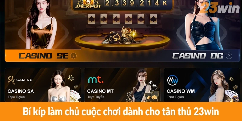 Bí kíp làm chủ cuộc chơi dành cho tân thủ 23win Bí kíp làm chủ cuộc chơi dành cho tân thủ 23win