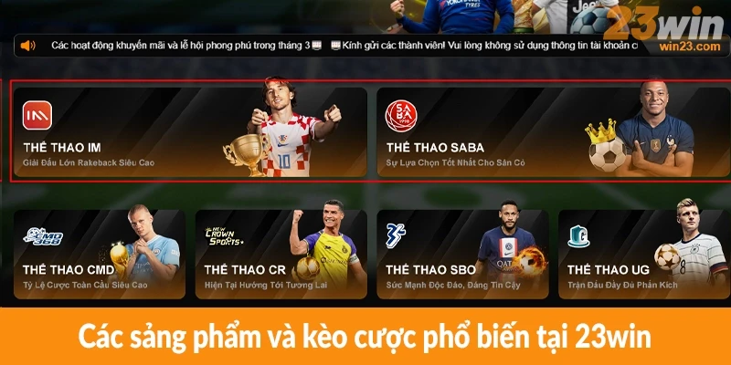 Các sản phẩm và kèo cược phổ biến tại 23win Các sản phẩm và kèo cược phổ biến tại 23win