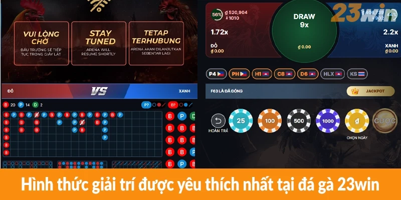 Hình thức giải trí được yêu thích nhất tại đá gà 23win Hình thức giải trí được yêu thích nhất tại đá gà 23win