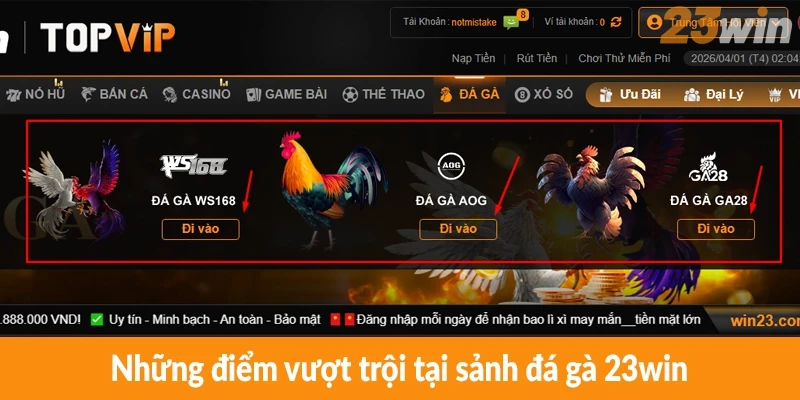 Những điểm vượt trội tại sảnh đá gà 23win Những điểm vượt trội tại sảnh đá gà 23win