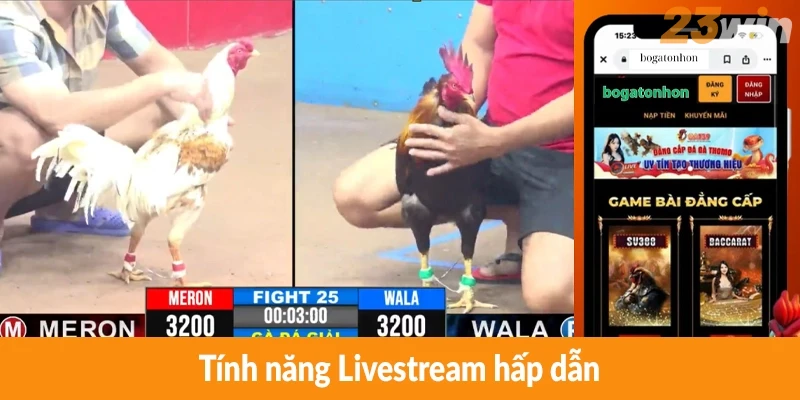 Tính năng Livestream hấp dẫn Tính năng Livestream hấp dẫn