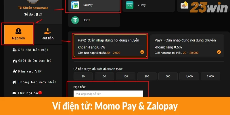 Ví điện tử: Momo Pay & Zalopay Ví điện tử: Momo Pay & Zalopay